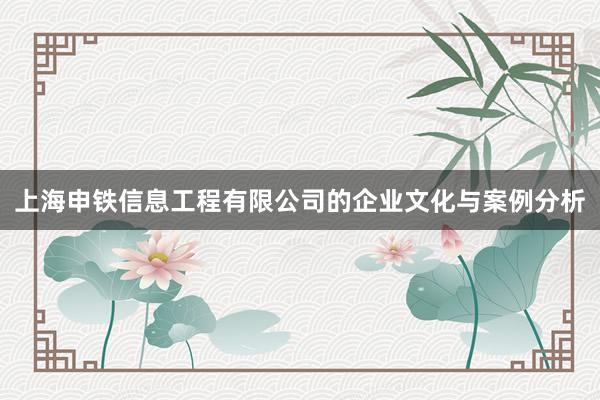 上海申铁信息工程有限公司的企业文化与案例分析