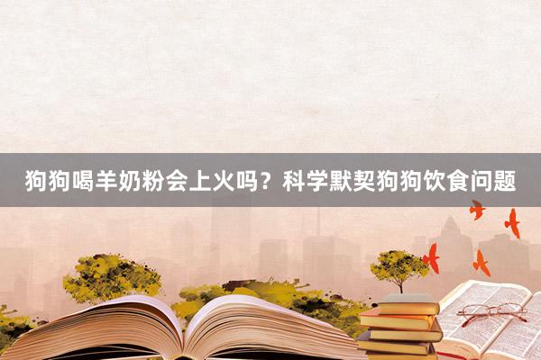 狗狗喝羊奶粉会上火吗？科学默契狗狗饮食问题